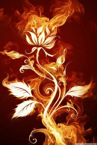 Bunga Api
