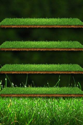Green Gras* Shelf