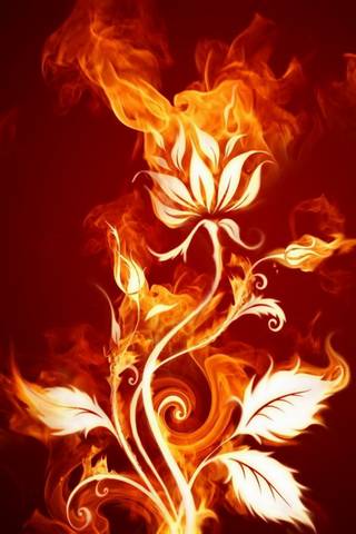 Вогонь квітка