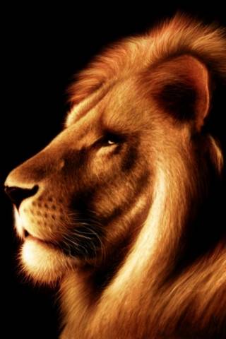 король Лев
