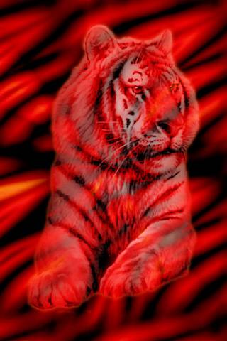 roter Tiger