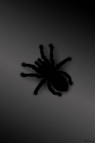 Spider Black