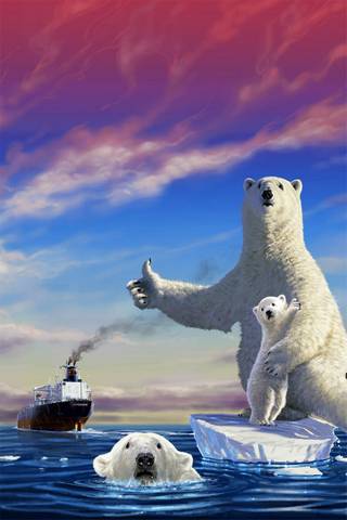 Urso Polar SOS