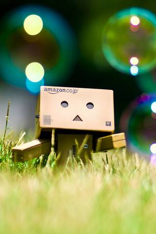 The Boxman