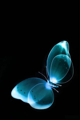 Blue B * tterfly