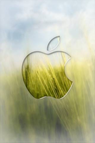 Ice Apple Logo