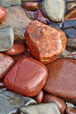 Влажные цветные камни