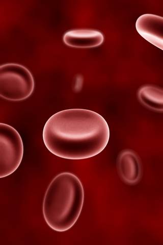 Cellule del sangue