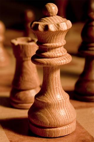 Schach alleine