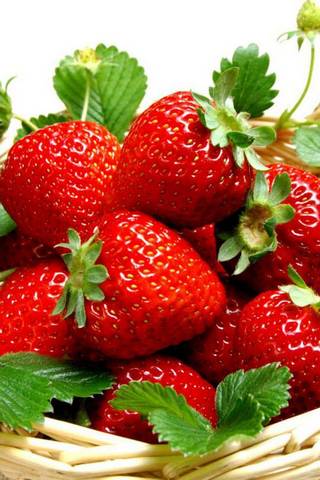 Strawberries Sh