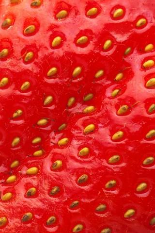 Nice Strawberry