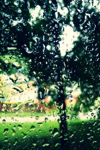 Літній дощ
