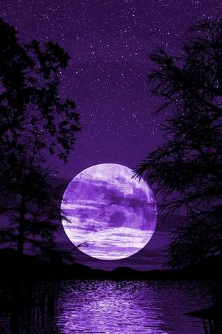 29 Dark Forest With Moon Wallpapers  WallpaperSafari
