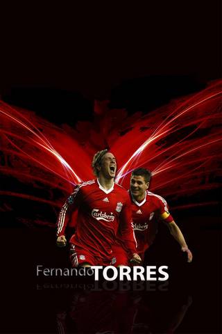 Cầu thủ bóng đá Fernando Torres